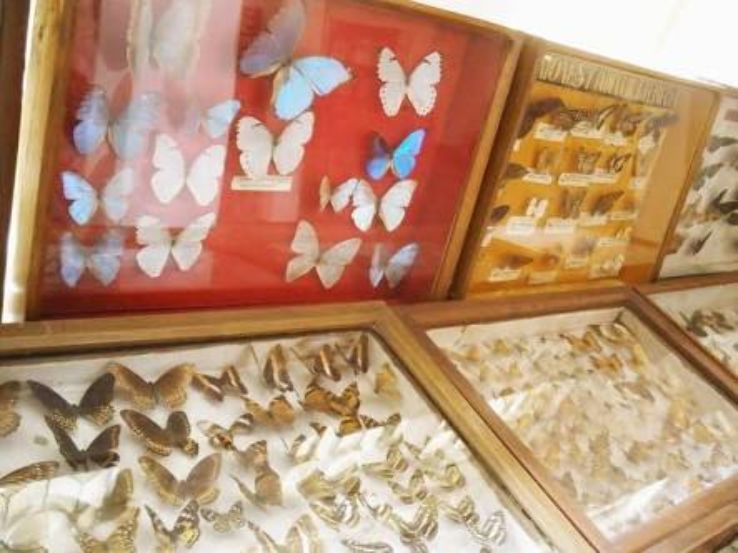 Butterfly museum Trip Packages